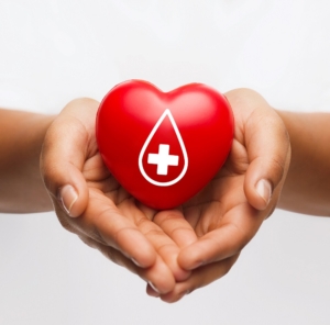 American Red Cross Blood Drive @ Forest Road Park Building | Fanwood | New Jersey | United States